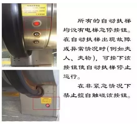 28090608zslm.png 28090608zslm.png