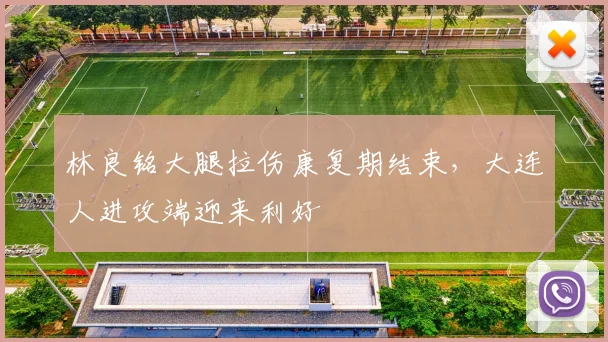 林良铭大腿拉伤康复期结束，大连人进攻端迎来利好